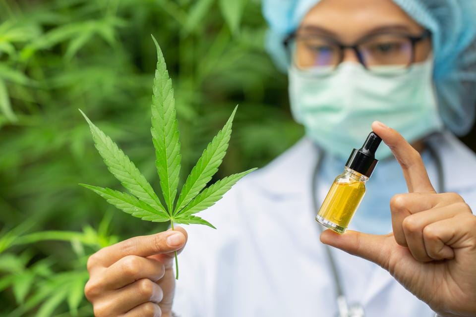 How to Market CBD Oil: Marketing Tactics