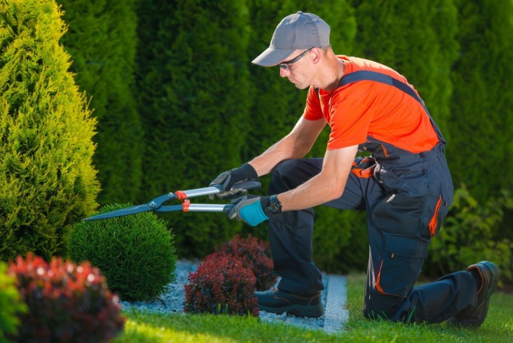 Garden Maintenance Services