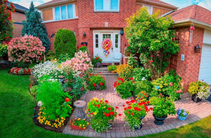 How to Create a Beautiful Garden: A Step-by-Step Guide