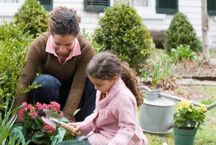 The Ultimate Guide to Home Gardening