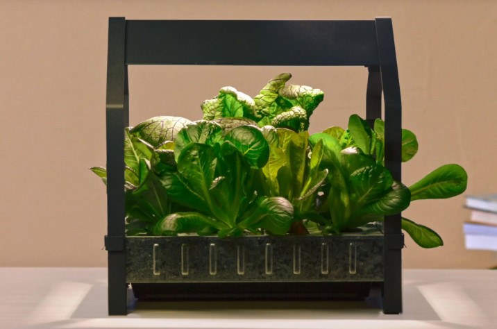 Hydroponic Planter: Revolutionizing Home Gardening