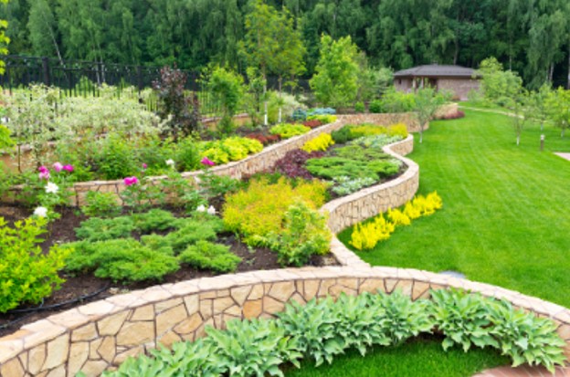 What is the Most Cost-Effective Option for Landscaping?