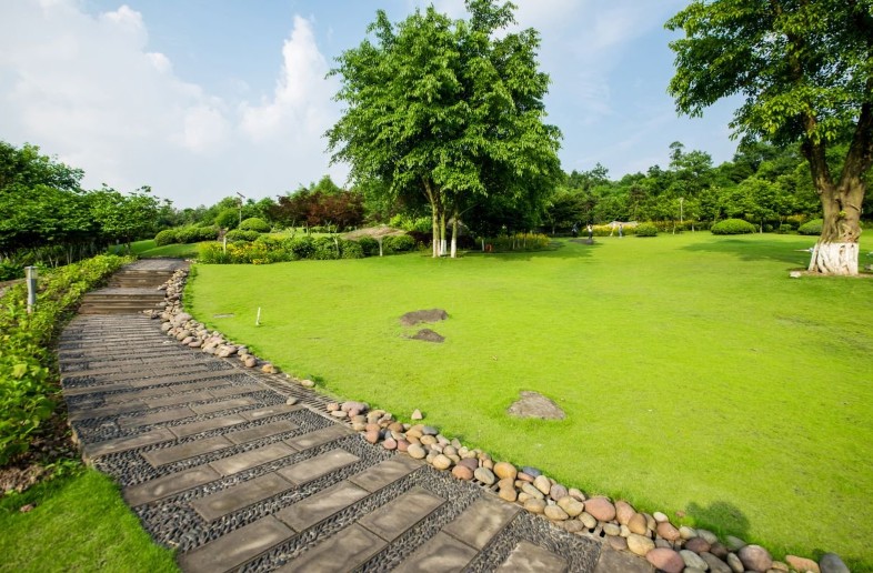 Effortless Beauty: Low Maintenance Landscape Ideas for Busy People