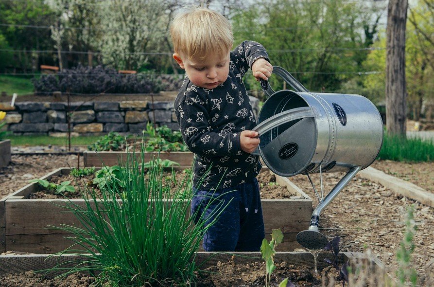 Gardening Tips for Beginners - Lessons I Learned the Hard Way